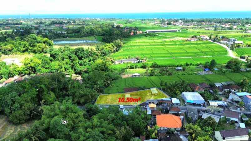 dijual tanah jalan kedungu tabanan bali