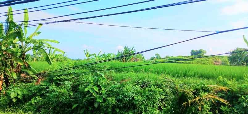 dijual tanah jalan pantai purnama