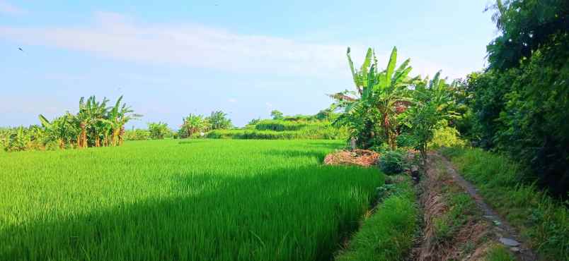 dijual tanah jalan pantai purnama