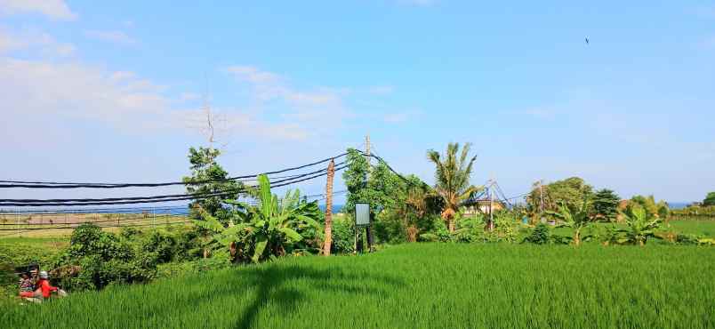 dijual tanah jalan pantai purnama