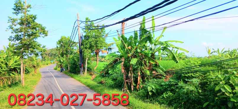 dijual tanah jalan pantai purnama