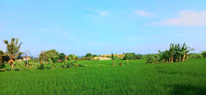 dijual tanah jalan pantai purnama