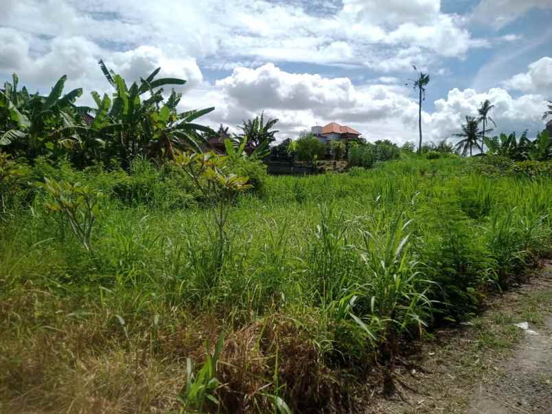 dijual tanah jalan pering gianyar bali