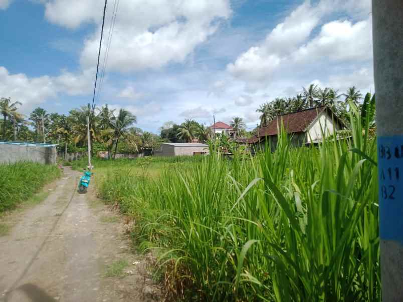 dijual tanah jalan pering gianyar bali