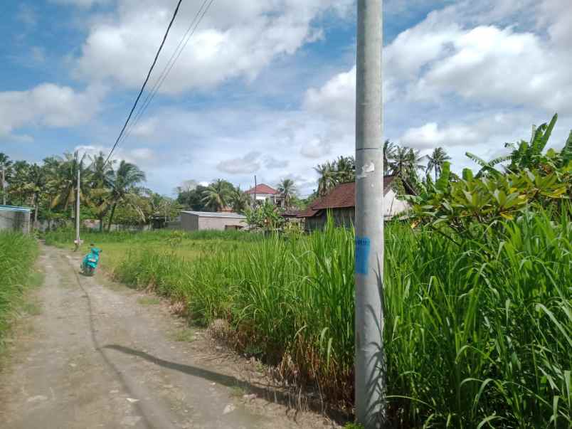 dijual tanah jalan pering gianyar bali