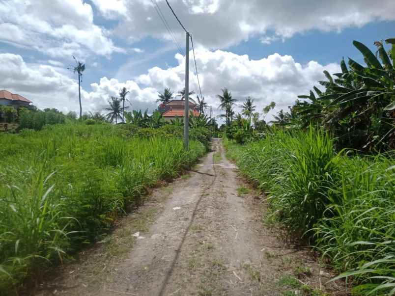 dijual tanah jalan pering gianyar bali