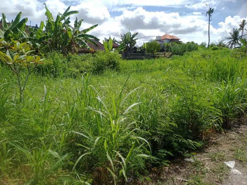 dijual tanah jalan pering gianyar bali