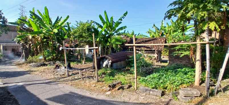 dijual tanah jalan raya djlopo desa