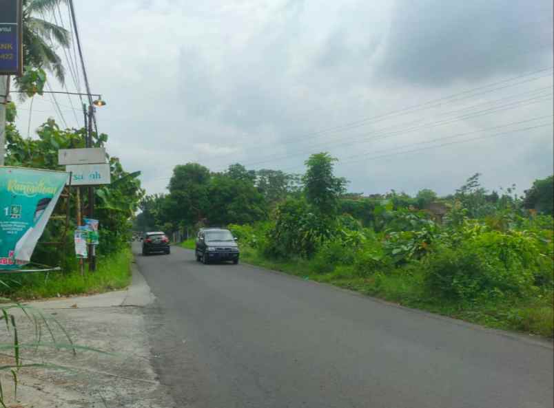 dijual tanah jalan raya wisata kasongan