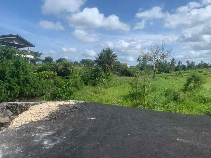 dijual tanah jalan seseh badung bali