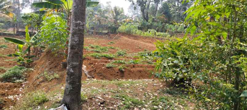 dijual tanah jl cikopo sel gadog kec