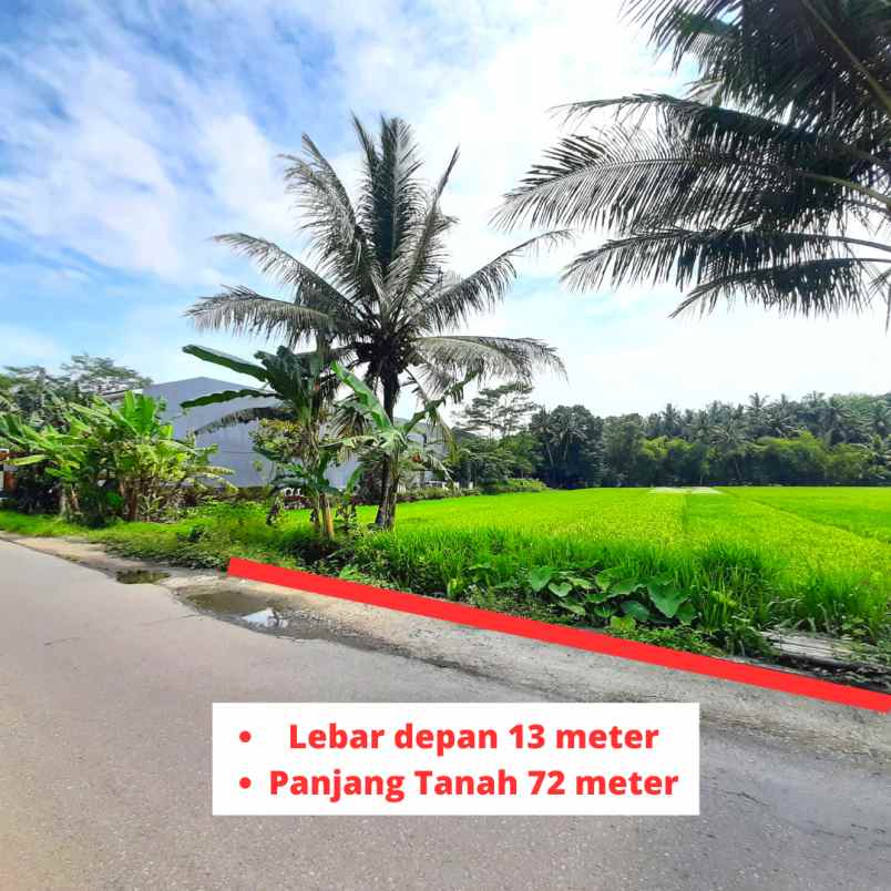 dijual tanah jl mranggen ngrame