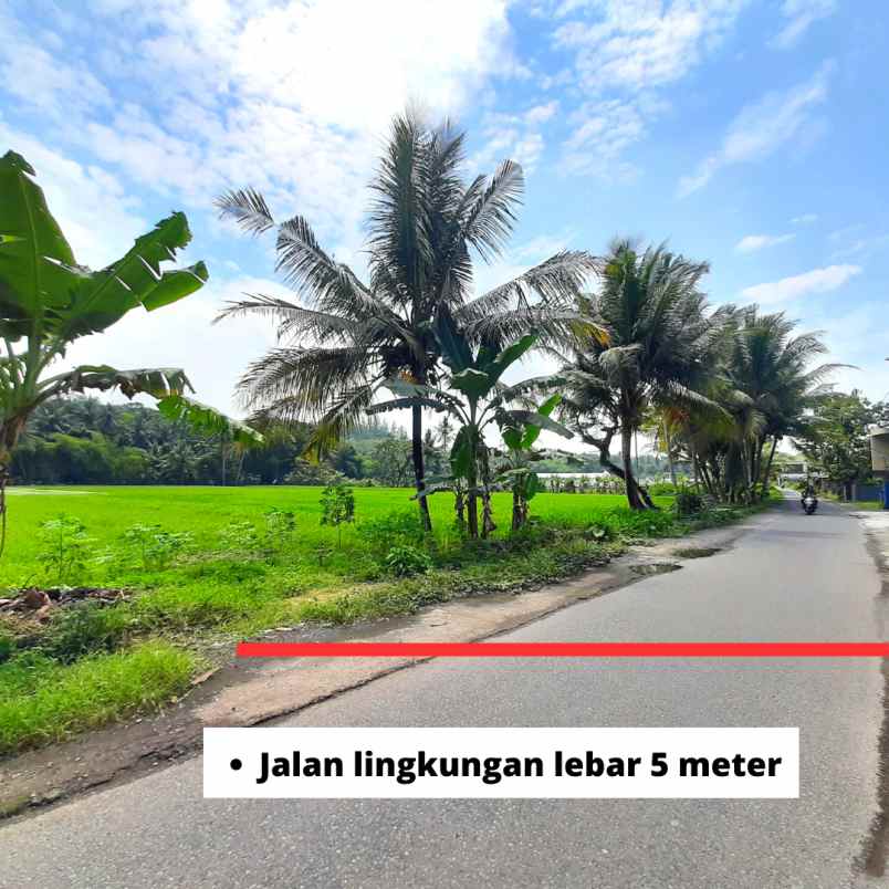 dijual tanah jl mranggen ngrame