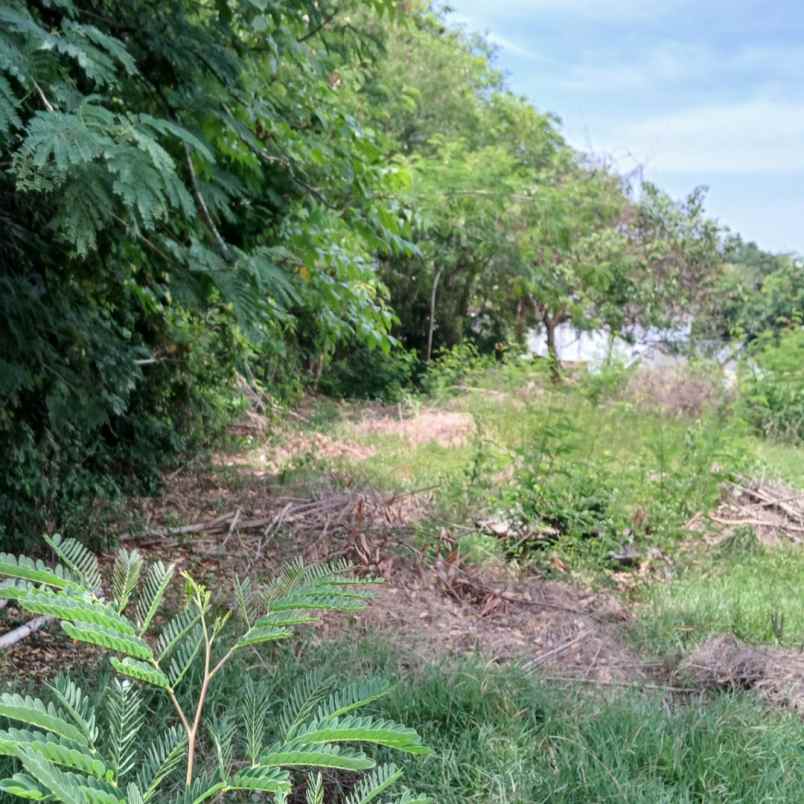 dijual tanah jl palapa poltek