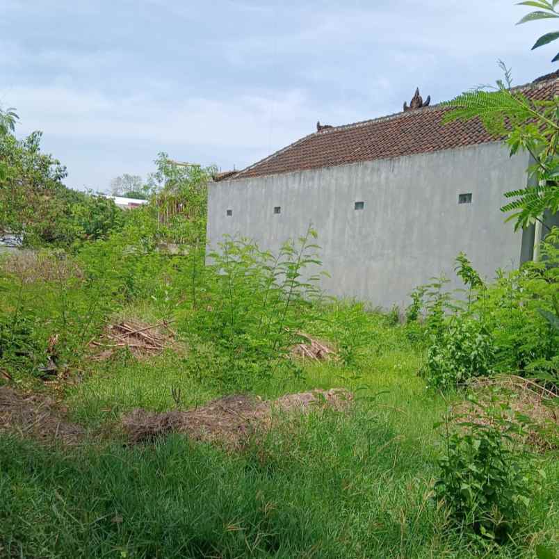 dijual tanah jl palapa poltek