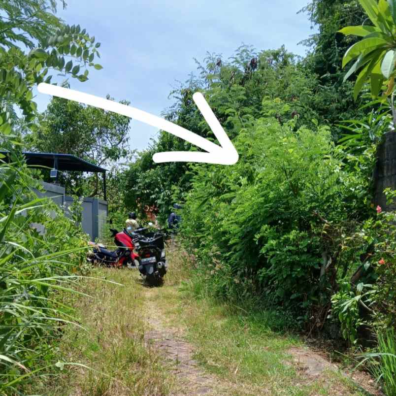 dijual tanah jl palapa poltek