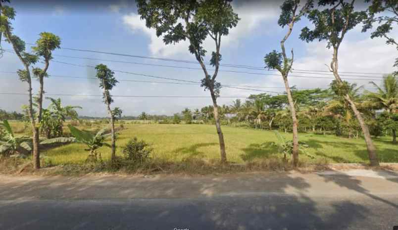 dijual tanah jl raya sampang buntu di