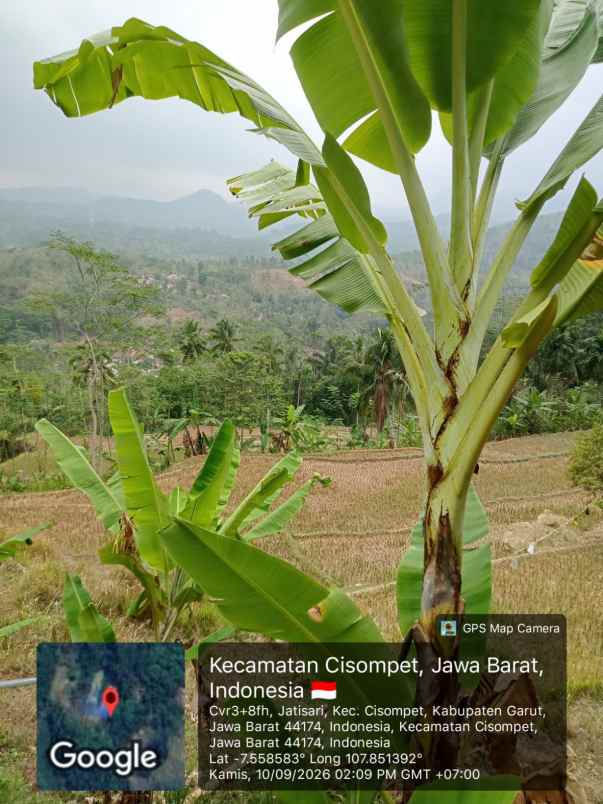 dijual tanah jl singatuwuh
