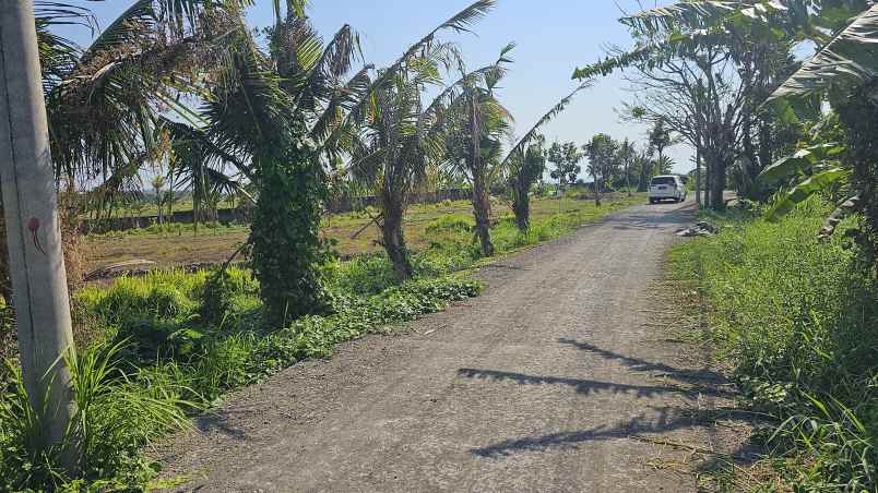 dijual tanah jln pantai kedungu