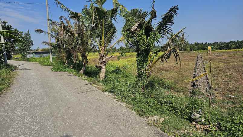 dijual tanah jln pantai kedungu