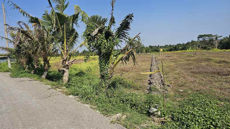 dijual tanah jln pantai kedungu