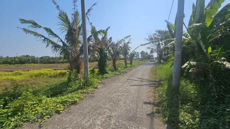 dijual tanah jln pantai kedungu