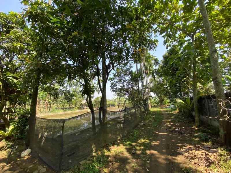 dijual tanah kampung bojong bojong kec