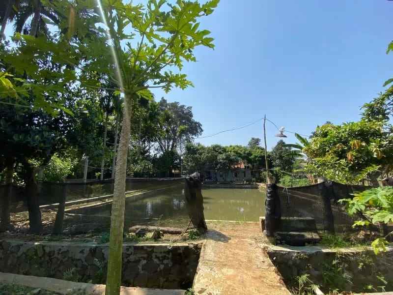 dijual tanah kampung bojong bojong kec