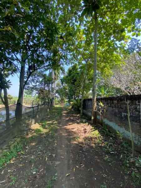 dijual tanah kampung bojong bojong kec