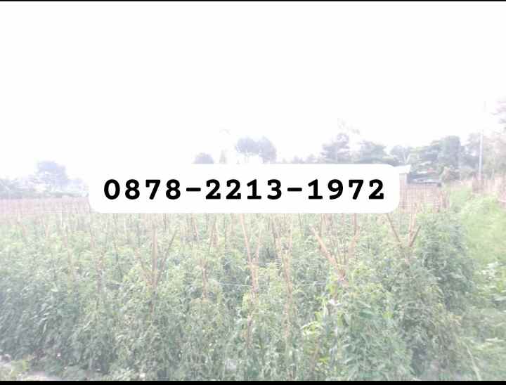 dijual tanah kol masturi lembang bandung