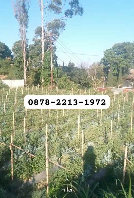 dijual tanah kol masturi lembang bandung