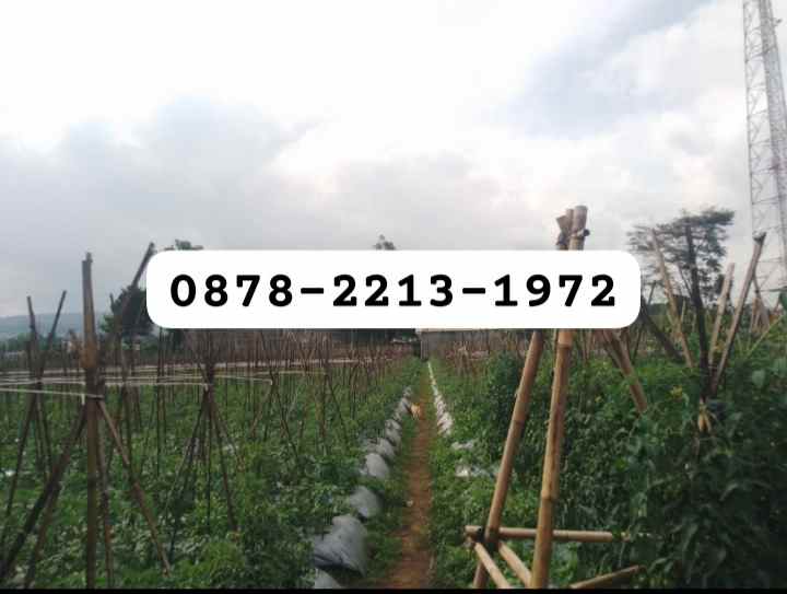 dijual tanah kol masturi lembang bandung