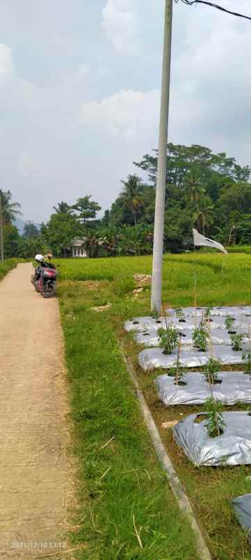 dijual tanah komersial 6 hektar di jonggol bogor