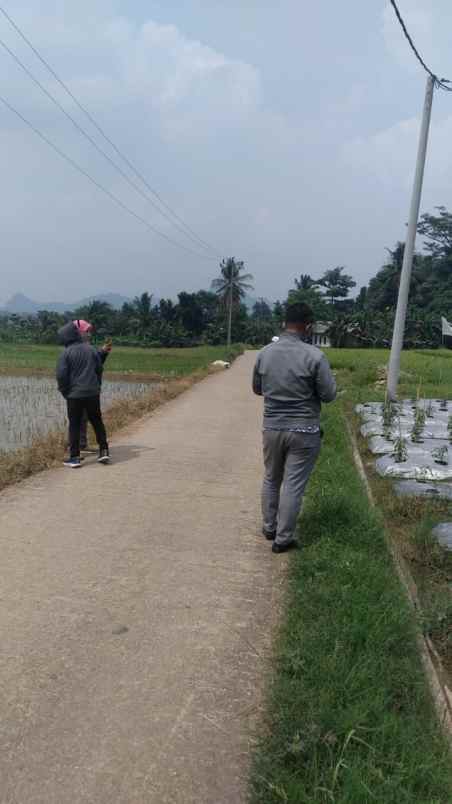 dijual tanah komersial 6 hektar di jonggol bogor