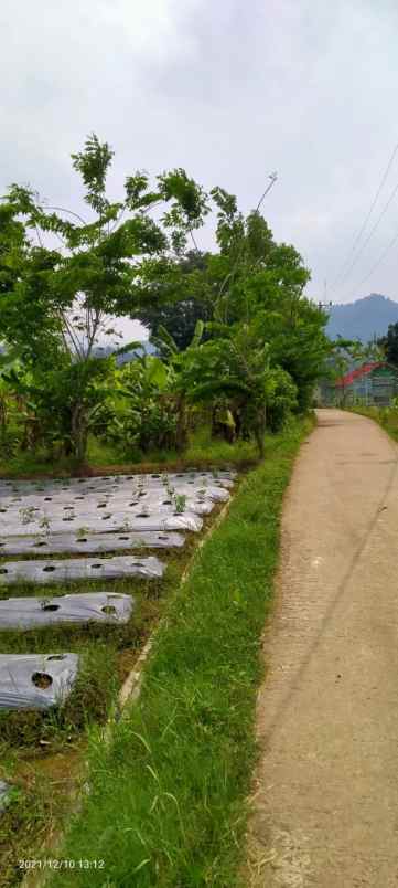 dijual tanah komersial 6 hektar di jonggol bogor