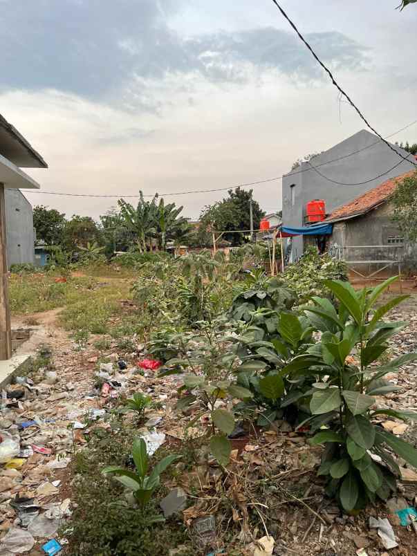 dijual tanah lengkong kulon pagadengan