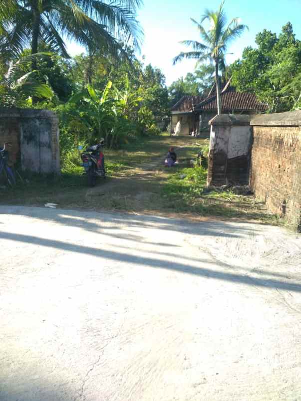 dijual tanah luas di sorobayan sanden bantul