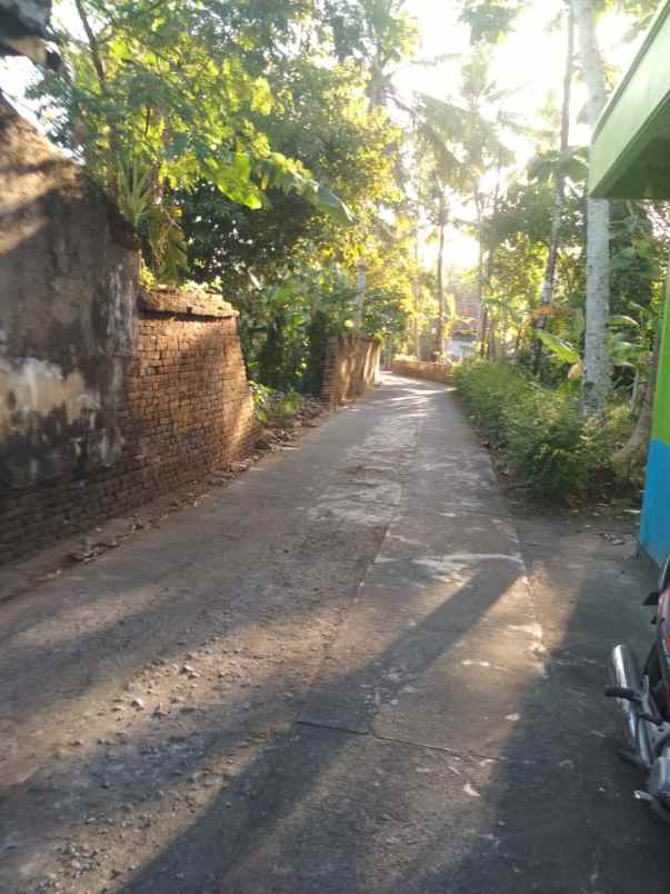 dijual tanah luas di sorobayan sanden bantul