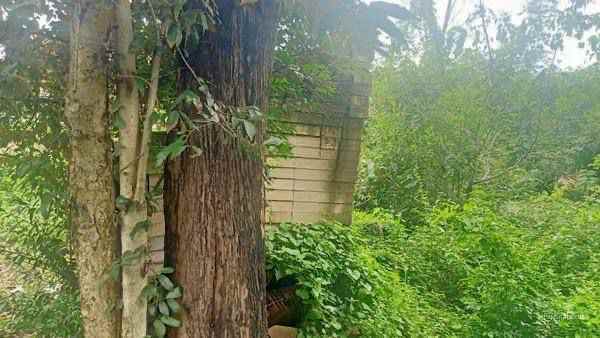 dijual tanah masaran sragen