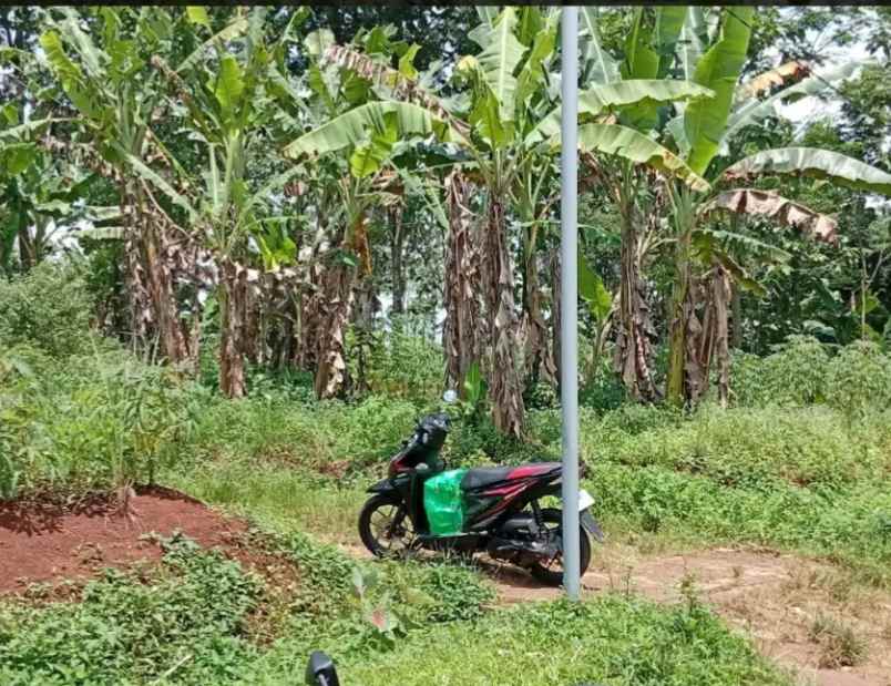 dijual tanah mijen