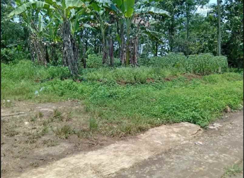 dijual tanah mijen