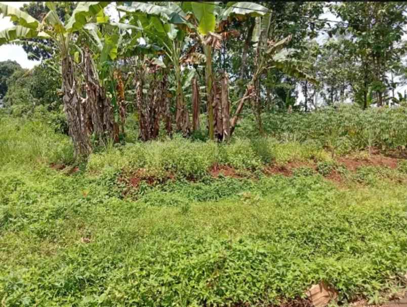 dijual tanah mijen
