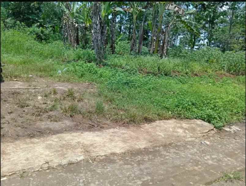 dijual tanah mijen