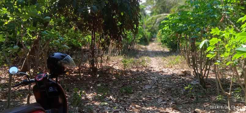 dijual tanah murah cocok untuk bikin rumah hunian