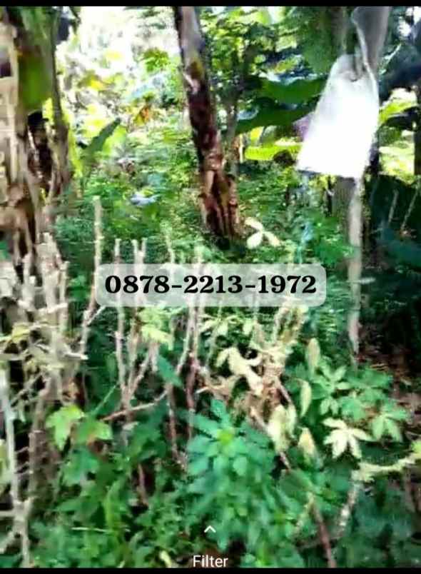 dijual tanah pajajaran bandung