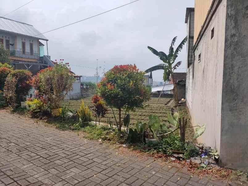 dijual tanah pandanrejo