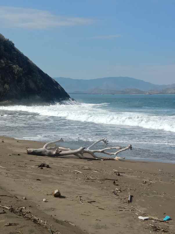 dijual tanah pantai balad sumbawa barat