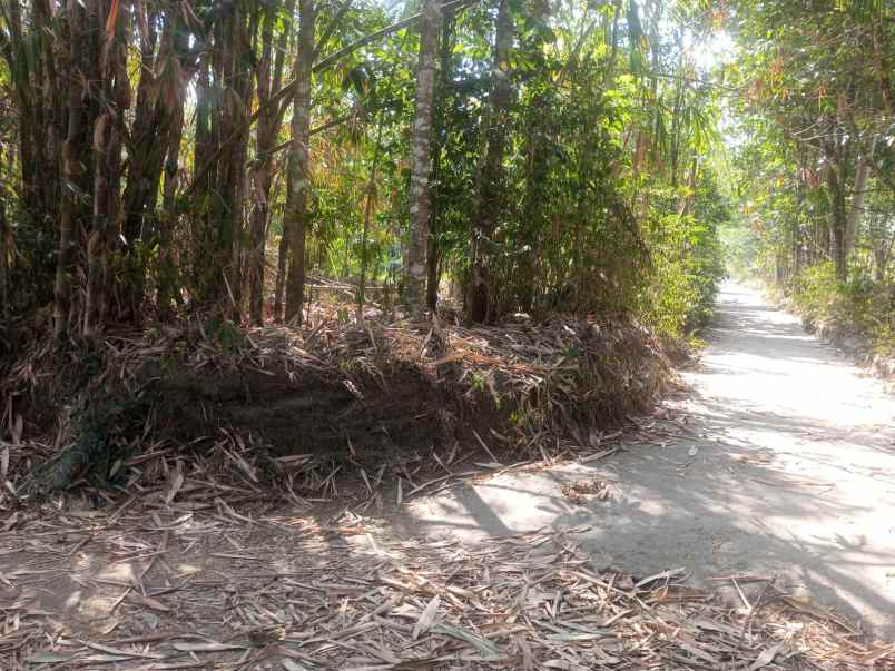 dijual tanah pekarangan luas daerah dompol kemalang