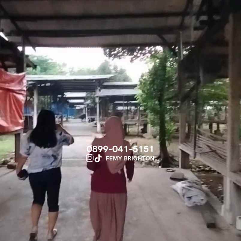 dijual tanah peternakan ayam caruban madiun