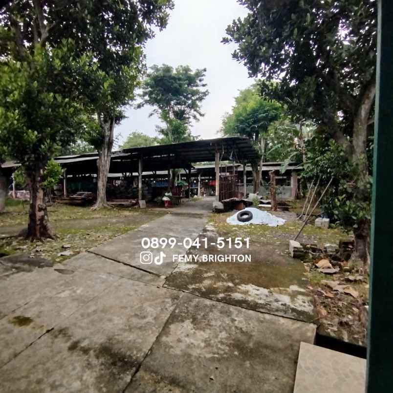 dijual tanah peternakan ayam caruban madiun